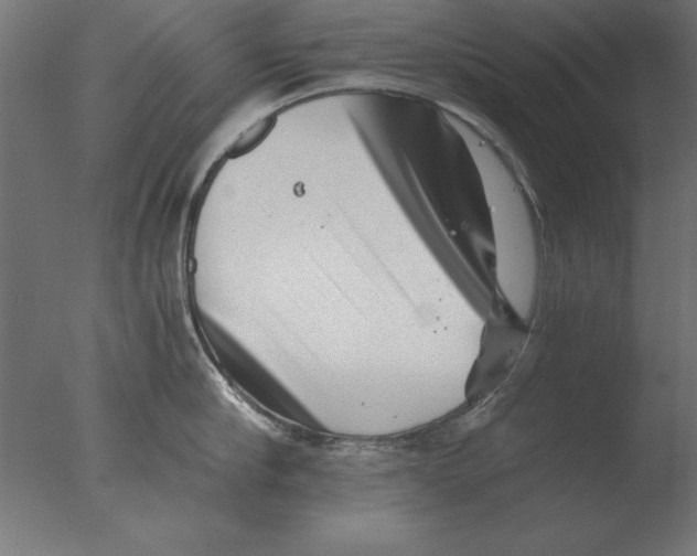 X0000076090910200610202103