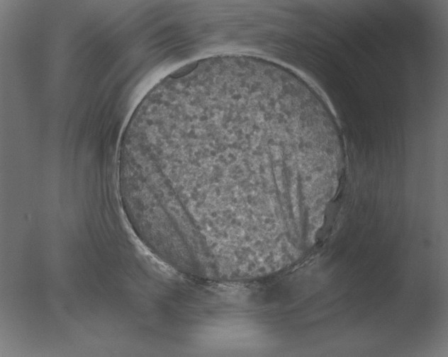 X0000076090911200610202103