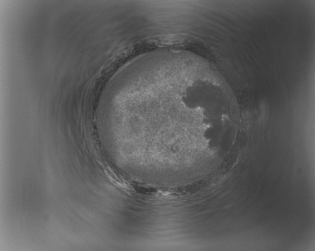 X0000076090913200610202102