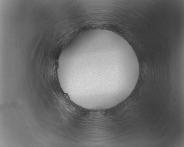 X0000076090914200610202102