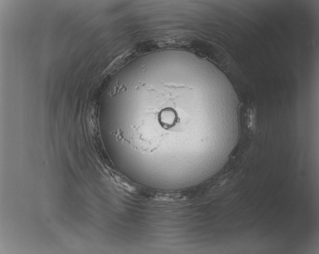 X0000076090915200610202102