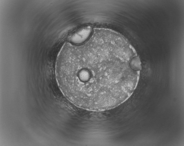 X0000076090918200610202102