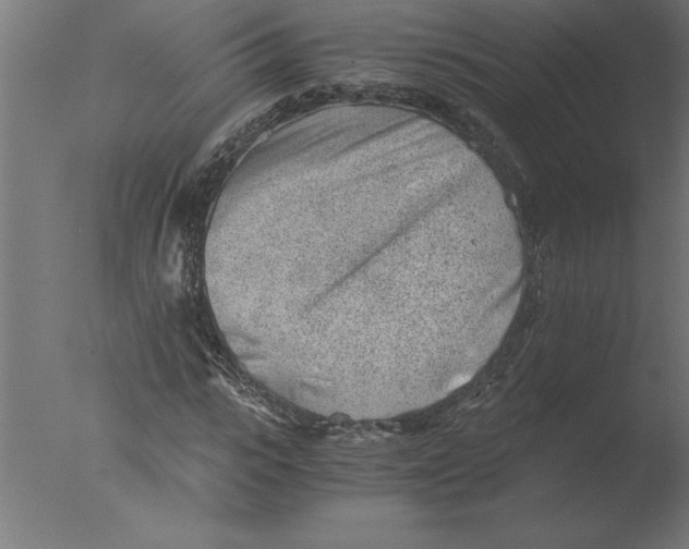 X0000076090919200610202102