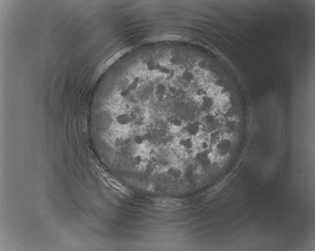 X0000076090921200610202102