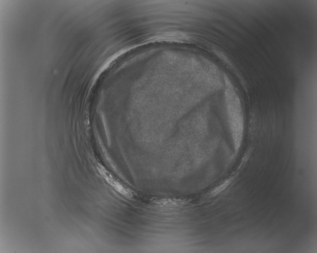 X0000076090923200610202102