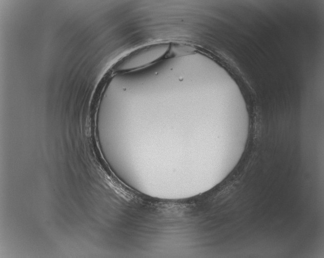 X0000076090924200610202102