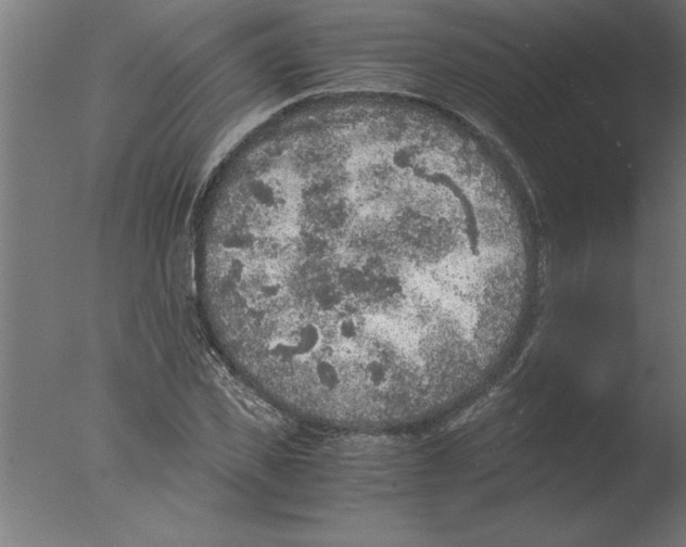 X0000076090925200610202102