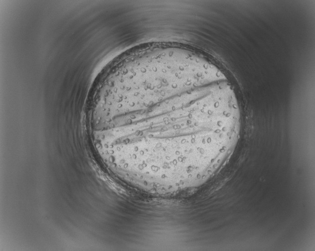 X0000076090928200610202102