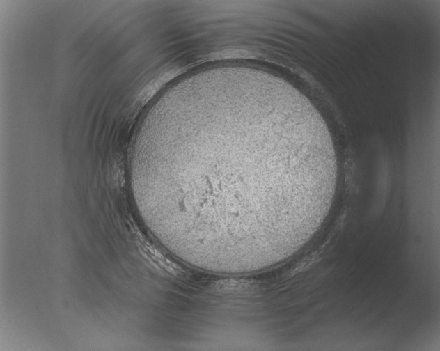 X0000076090929200610202102