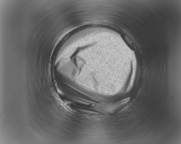 X0000076090932200610202102