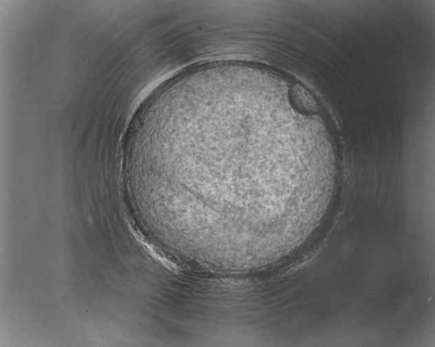 X0000076090933200610202102