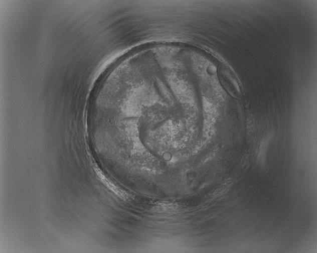 X0000076090935200610202102