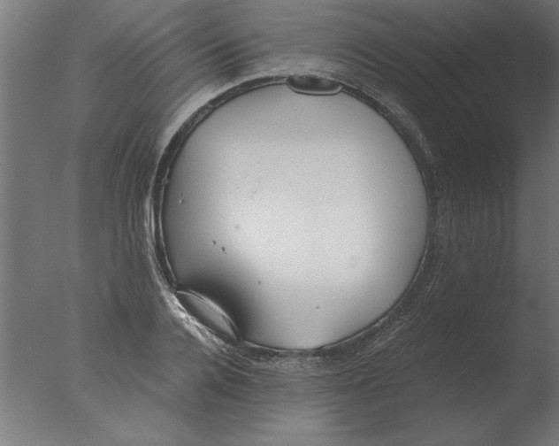 X0000076090936200610202102