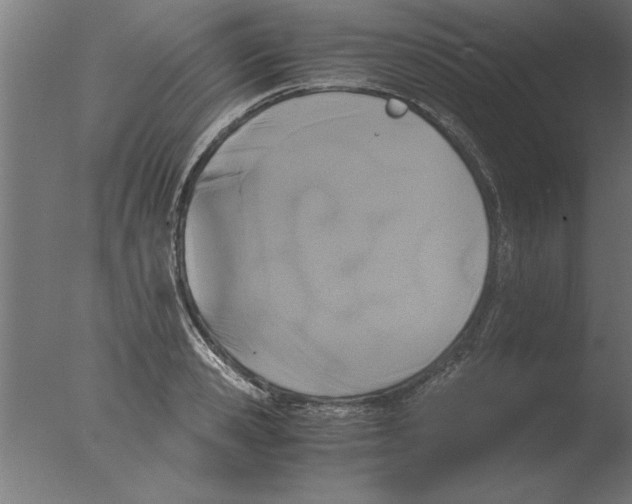 X0000076090941200610202102