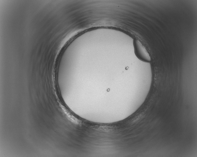 X0000076090942200610202102