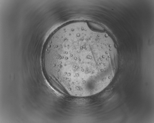 X0000076090943200610202102