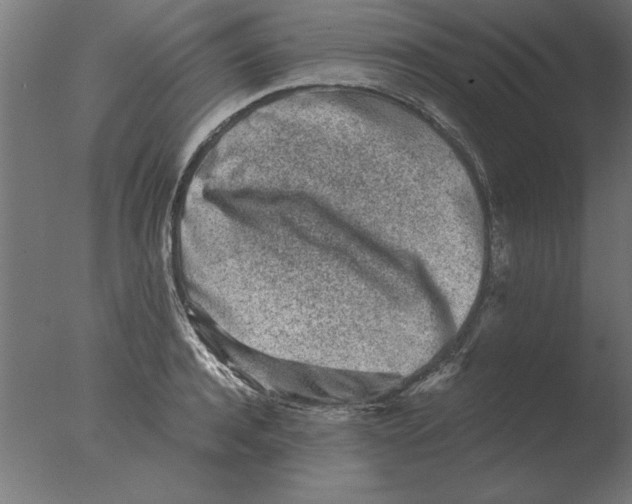 X0000076090944200610202102