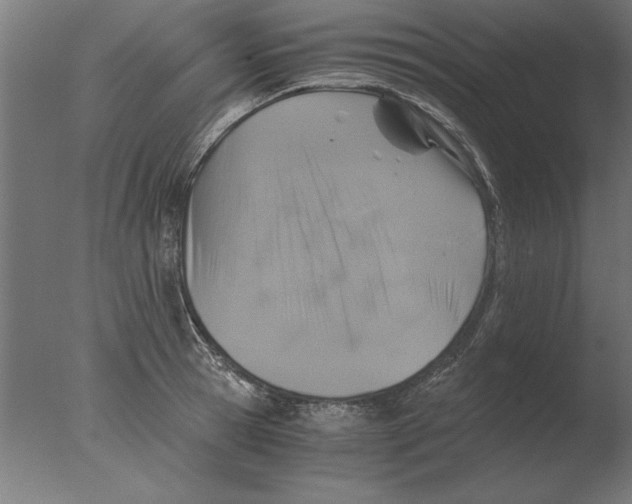 X0000076090945200610202102