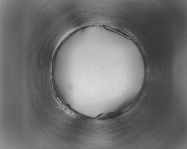 X0000076090948200610202103