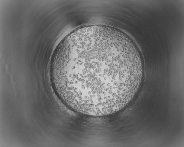 X0000076090949200610202103