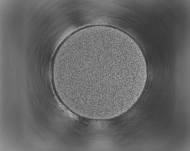 X0000076090950200610202103