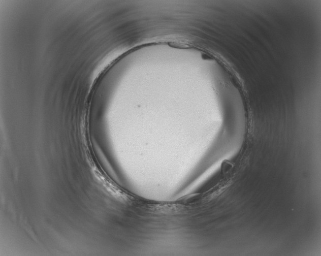 X0000076090952200610202103