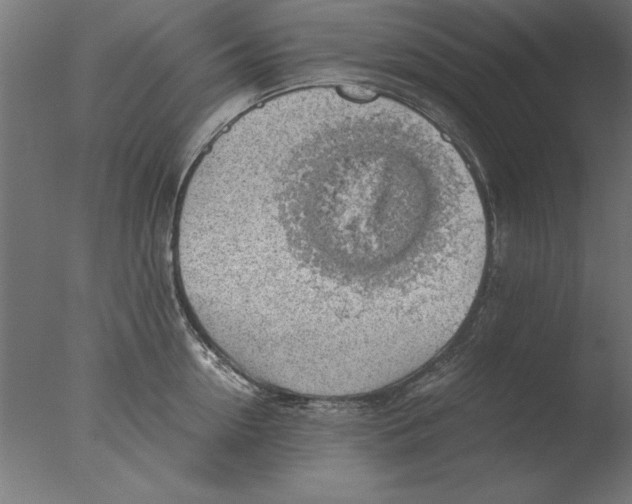 X0000076090954200610202103