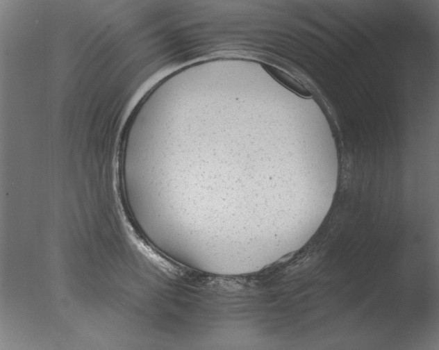 X0000076090955200610202103