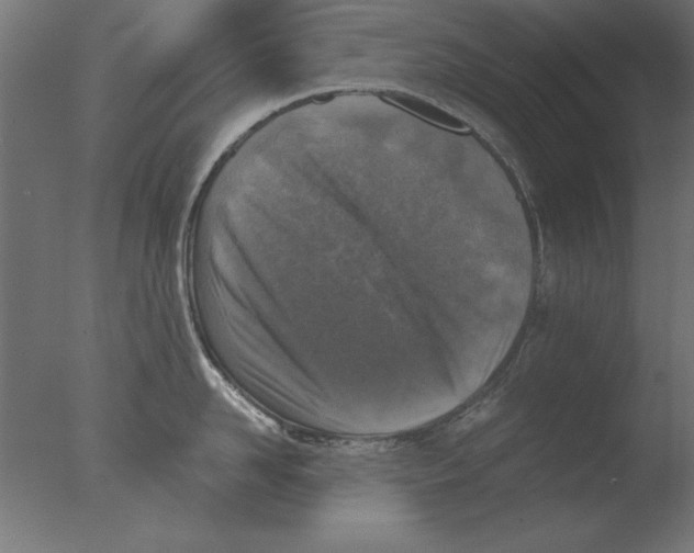 X0000076090958200610202103