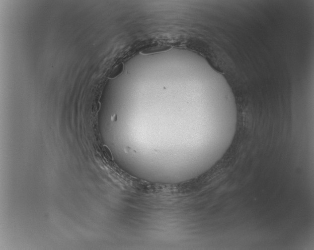 X0000076090961200610202102