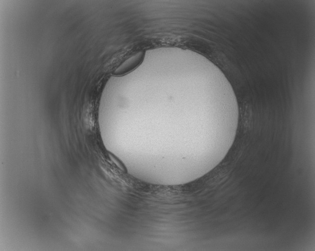 X0000076090962200610202102