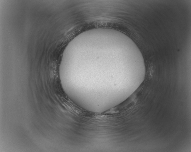 X0000076090964200610202102