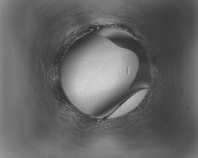 X0000076090965200610202102