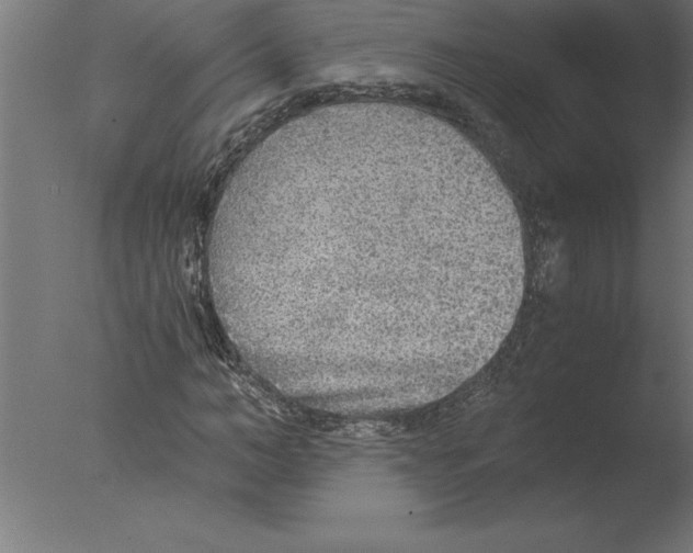 X0000076090966200610202102