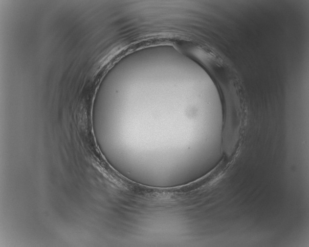 X0000076090969200610202102