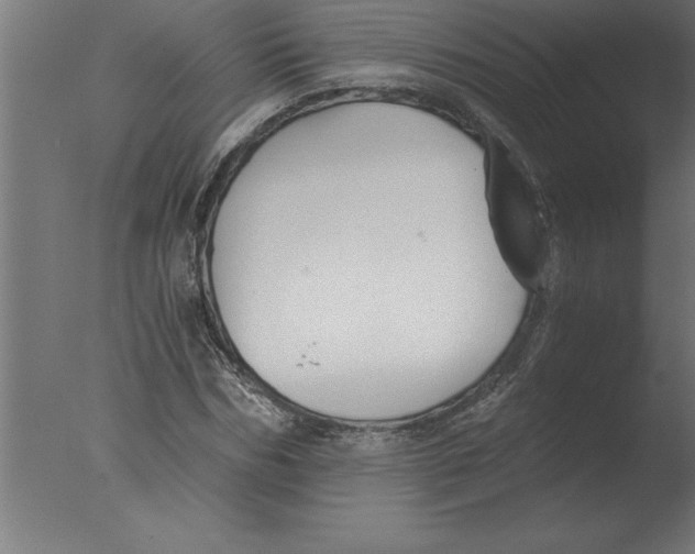 X0000076090970200610202102