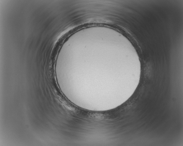 X0000076090971200610202102