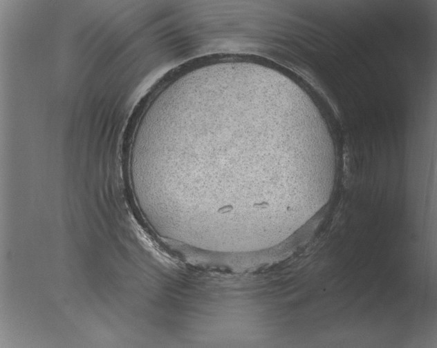 X0000076090972200610202102