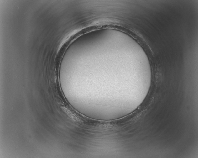 X0000076090973200610202102