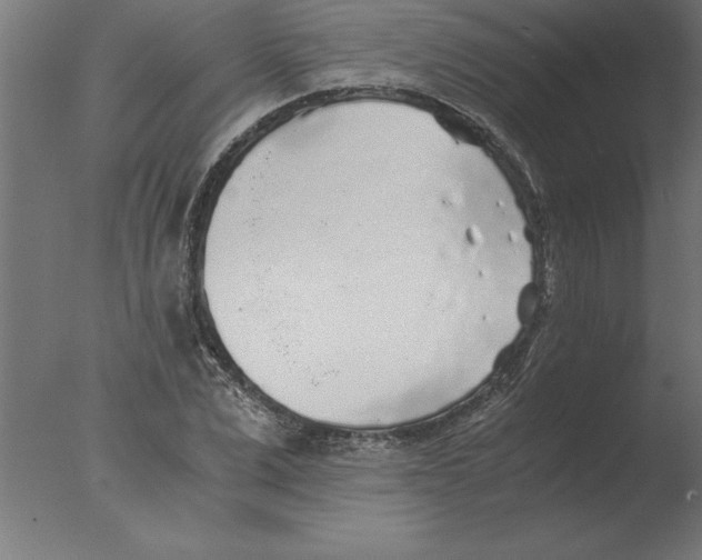 X0000076090975200610202102