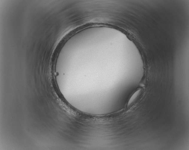 X0000076090976200610202102