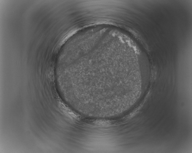 X0000076090977200610202102