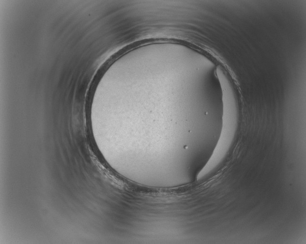 X0000076090980200610202102