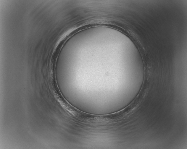 X0000076090981200610202102