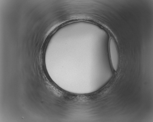 X0000076090983200610202102