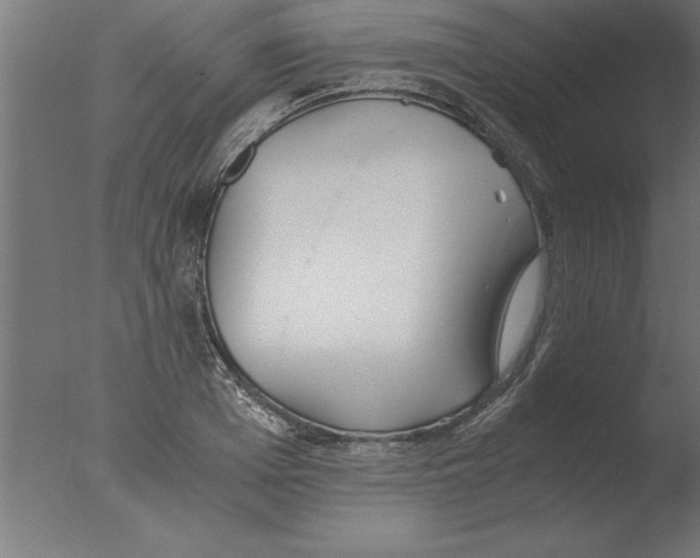 X0000076090985200610202102