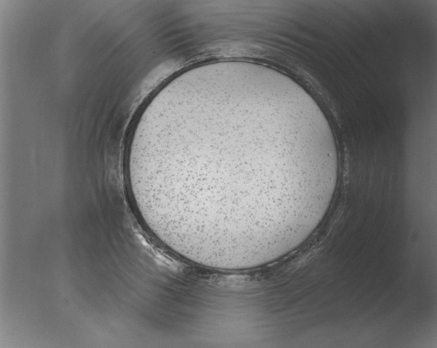 X0000076090986200610202102