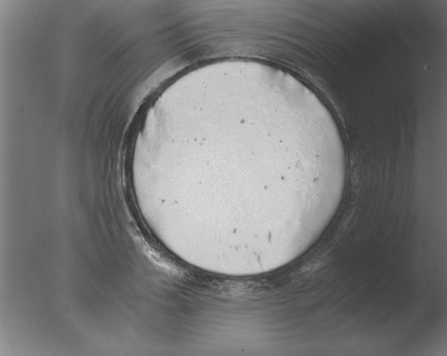 X0000076090987200610202101