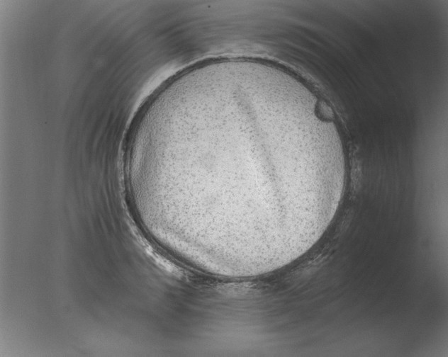 X0000076090990200610202101