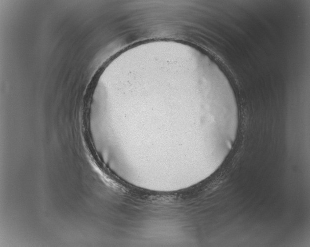 X0000076090991200610202101